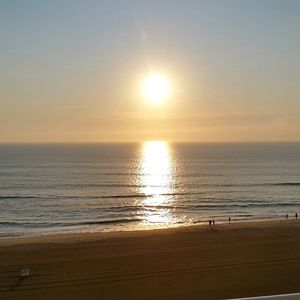 Meet your Posher, Penny